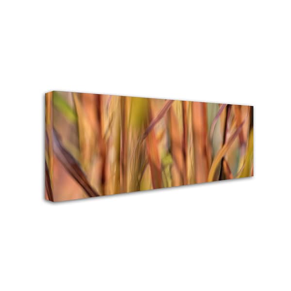 Cora Niele 'Autumn Grass Scape' Canvas Art,10x24